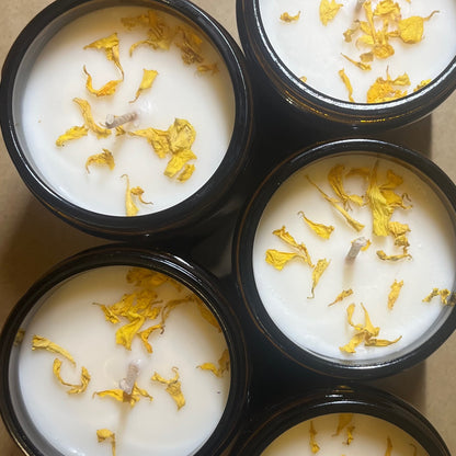 Lemon Gin Fizz candle